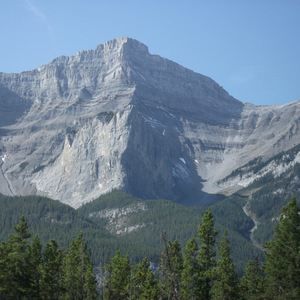 Meet your Posher, Salassie